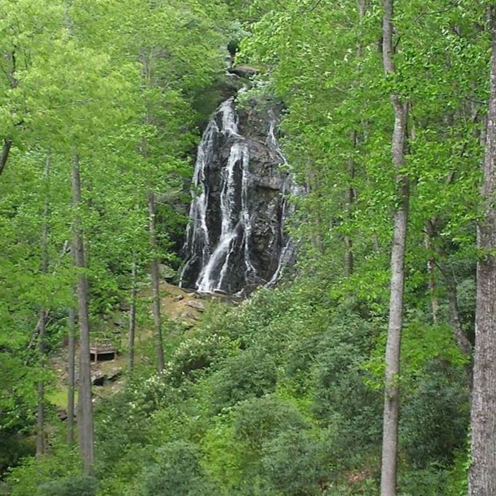 Meet your Posher, Vikki